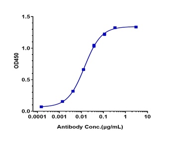 CSF1R/M-CSFR/CD115 Antibody