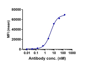 CLDN6/CLD6 Antibody