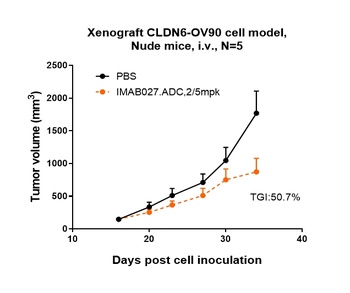 CLDN6/CLD6 Antibody