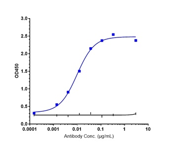CLDN18.2 Antibody
