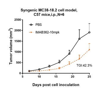 CLDN18.2 Antibody