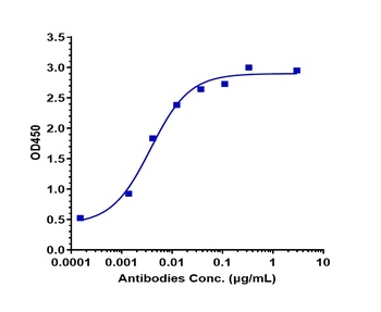 CD79b Antibody