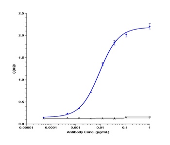 TNFRSF5/CD40 Antibody