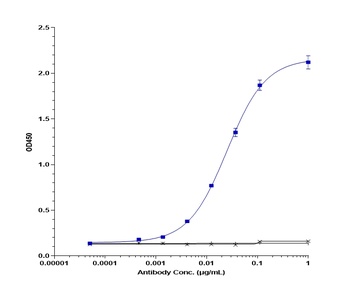 TNFRSF5/CD40 Antibody