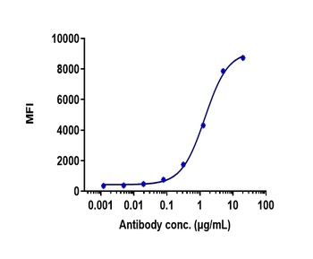 TNFRSF17/BCMA/CD269 Antibody