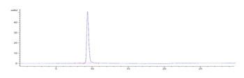 OX2R / CD200R1 Reference Antibody