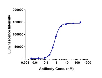 CDH6/K-Cadherin Antibody
