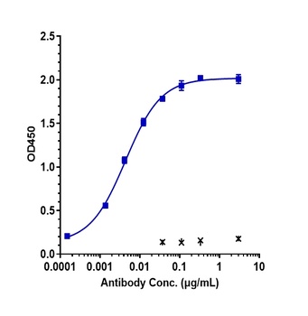 B7-H3/CD276 Antibody