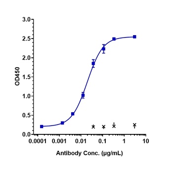 ANGPT2 Antibody