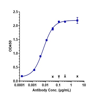 ALCAM/CD166 Antibody