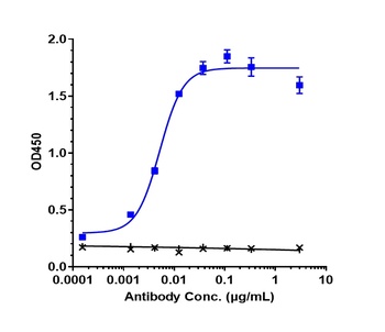 ACVR2B Antibody