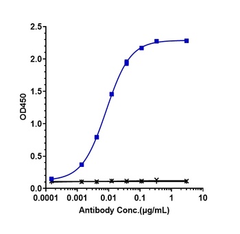 TNFRSF9/4-1BB/CD137 Antibody
