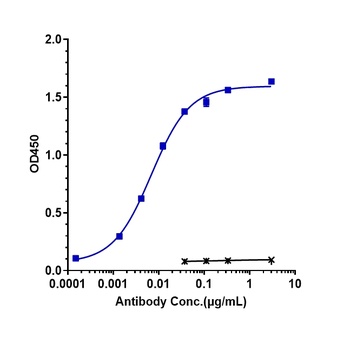TNFRSF9/4-1BB/CD137 Antibody