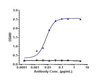VEGFR2/KDR/CD309 Antibody