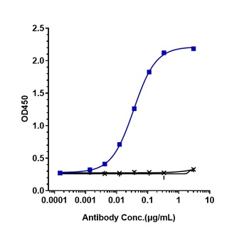 TNFSF2/TNFa Antibody