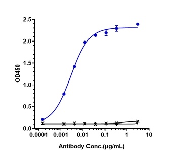 ROR1 Antibody