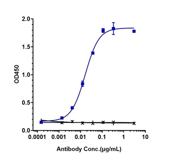 FOLH1/PSMA Antibody