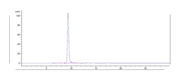 PMEL Reference Antibody