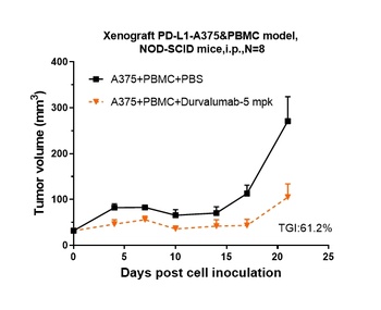B7-H1/PD-L1/CD274 Antibody