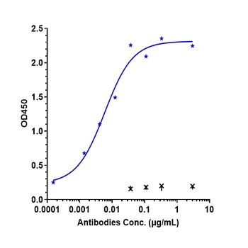 B7-H1/PD-L1/CD274 Antibody