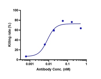 B7-H1/PD-L1/CD274 Antibody