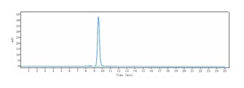 B7-H1/PD-L1/CD274 Antibody