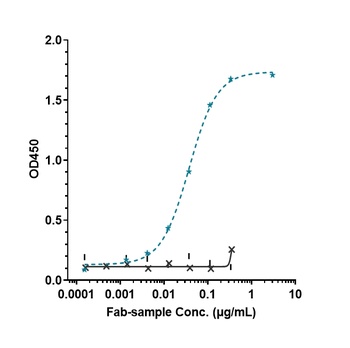 B7-H1/PD-L1/CD274 Antibody
