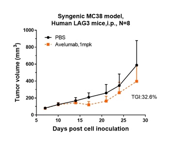 B7-H1/PD-L1/CD274 Antibody
