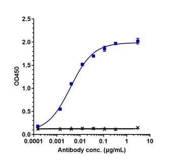 Nectin-4 Antibody