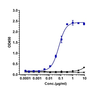 LIF Antibody