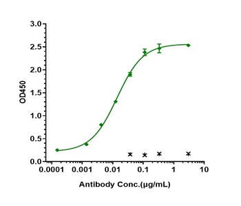 ERBB2/HER2/CD340 Antibody