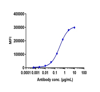 ERBB2/HER2/CD340 Antibody