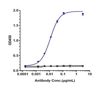 FOLR1/FRA Antibody
