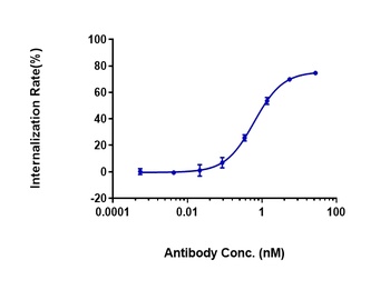 FOLR1/FRA Antibody