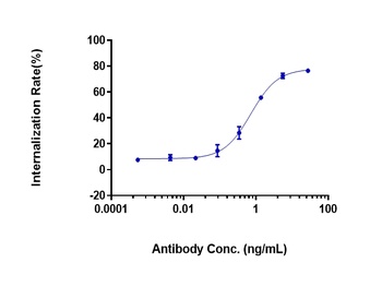 FOLR1/FRA Antibody