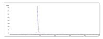 FGFR2/CD332 Antibody