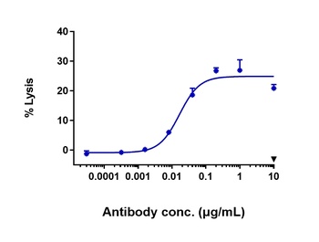FGFR2/CD332 Antibody