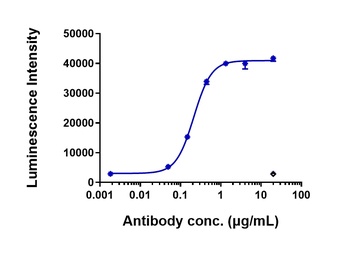FGFR2/CD332 Antibody