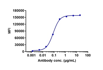 ERBB1/EGFR/HER1 Antibody