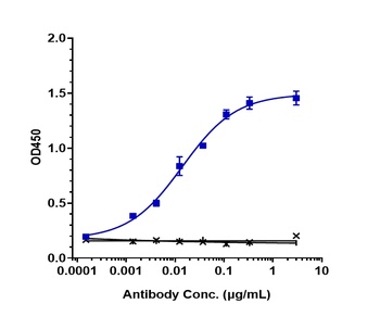 DLL3 Antibody