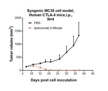 CTLA-4/CD152 Antibody