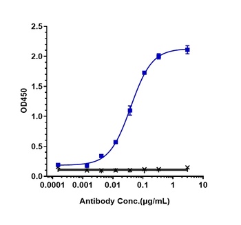 HGFR/c-Met Antibody