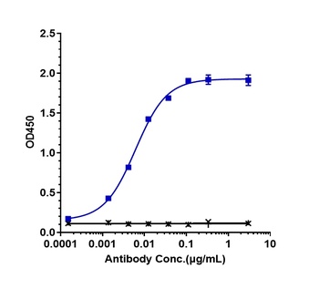 HGFR/c-Met Antibody