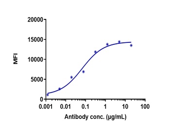 TNFSF7/CD27L/CD70 Antibody