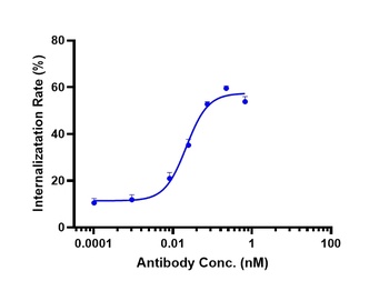 TNFSF7/CD27L/CD70 Antibody