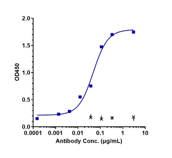 CD38 Antibody