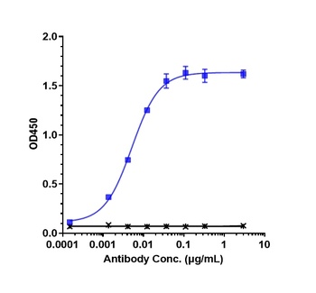 TNFRSF8/CD30 Antibody