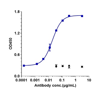 TNFRSF7/CD27 Antibody