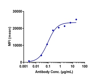 TNFRSF7/CD27 Antibody