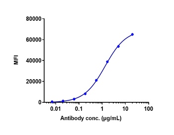 CD20 Antibody